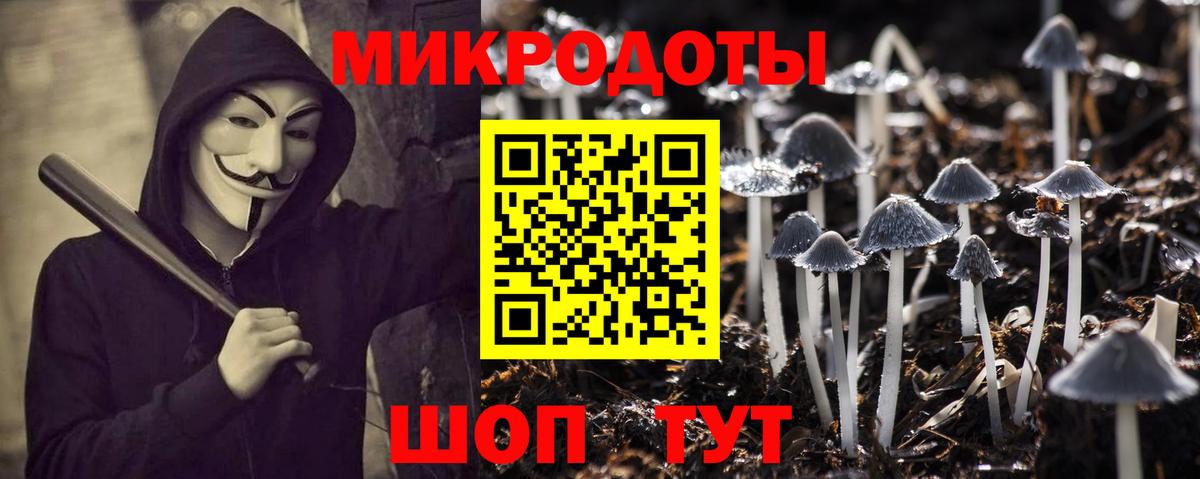 Галлюциногенные грибы GOLDEN TEACHER Ржев